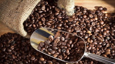 A Wholesome Guide To Buying The Most Aromatic Coffee Beans For Your Cafe