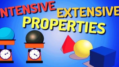 Dissimilarities In Intensive & Extensive Properties