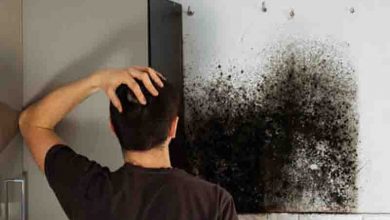 Pro Technique to Black Mould Elimination from Walls and Ceilings in Melbourne