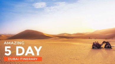 Dubai tour plan in packages