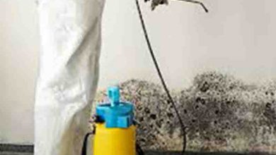 WHAT IS COVERED BY AND ALSO MOULD EXAMINATION OR MOULD ANALYSIS?