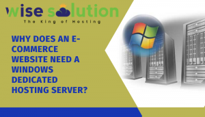 Why does an eCommerce website need a Windows dedicated hosting server