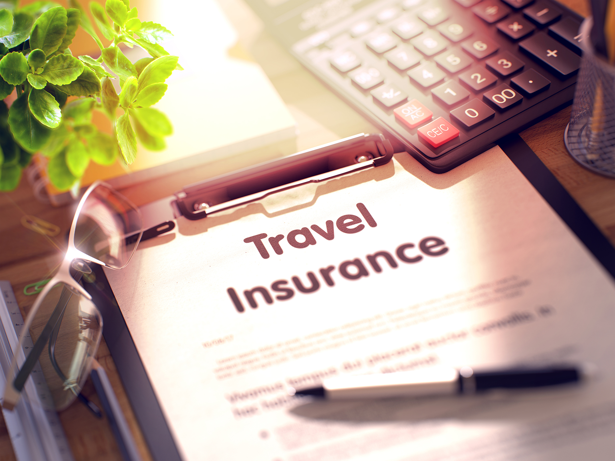 Travel Insurance Nevada